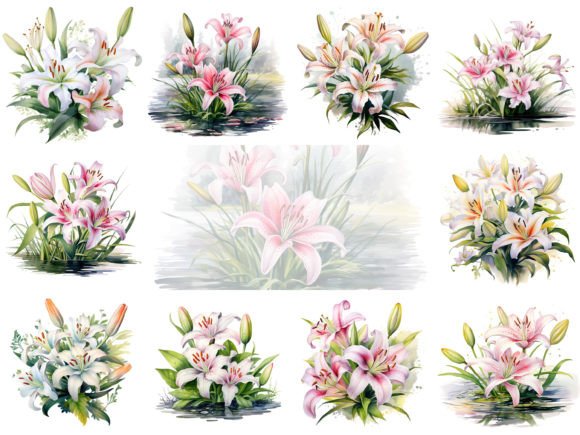 Download Lilies Watercolor Clipart Images Bundle - Art Collection