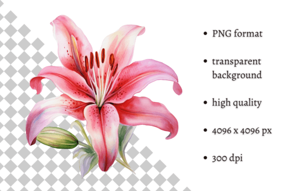 Download Watercolor Tiger Lilies Clipart - Art Collection