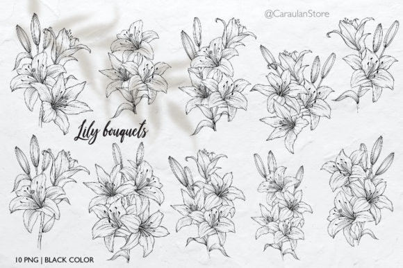 Download Lilies Line Art, Lily Bouquets PNG - Art Collection