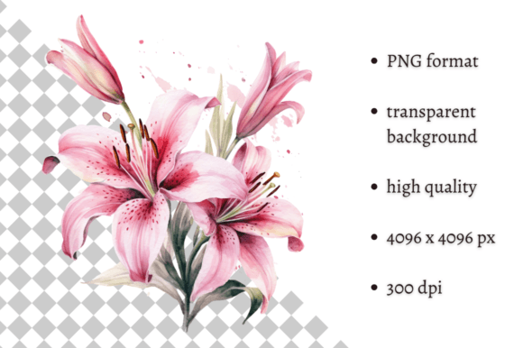 Download Watercolor Pink Tiger Lilies Clipart - Art Collection