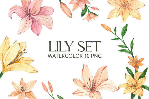 Download Lilies Watercolor Clipart PNG - Art Collection